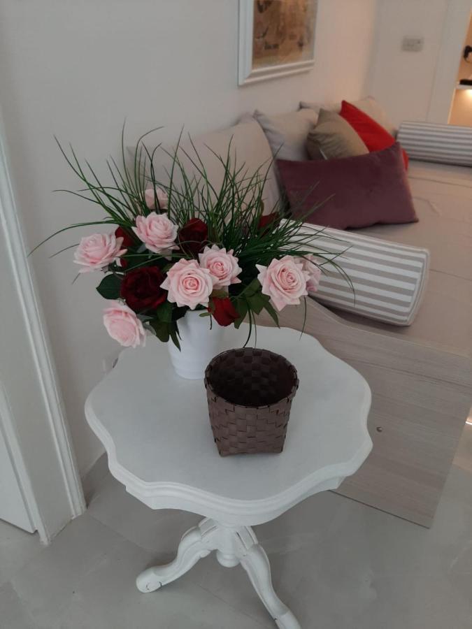 La Vie En Rose - Casa Vacanze Diamante Exteriör bild