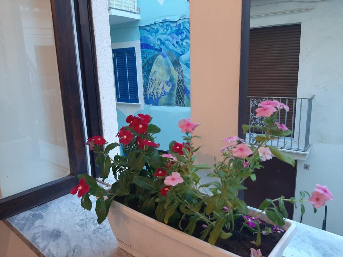 La Vie En Rose - Casa Vacanze Diamante Exteriör bild